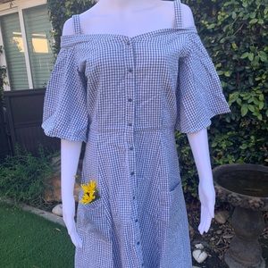 Blue picnic dress